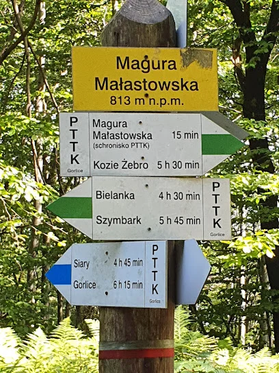 Magura Małastowska