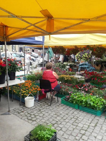 Plac Dworzysko